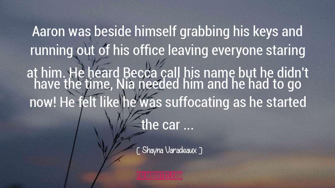 The Decaturs Series quotes by Shayna Varadeaux