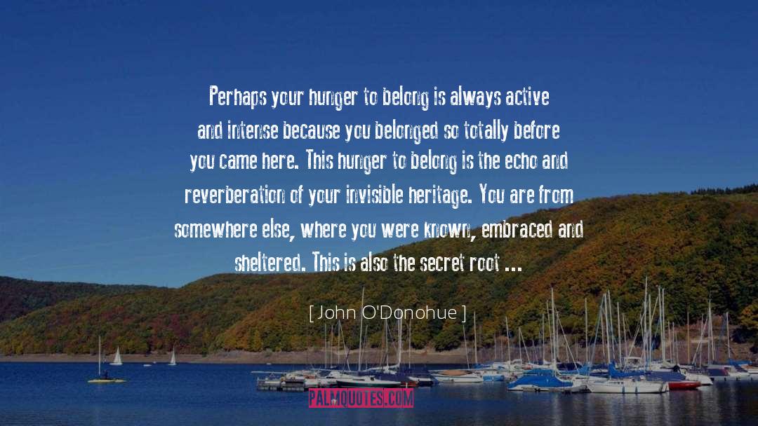 The Desires Of Your Heart quotes by John O'Donohue