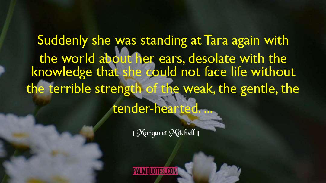 The Desolate Garden quotes by Margaret Mitchell