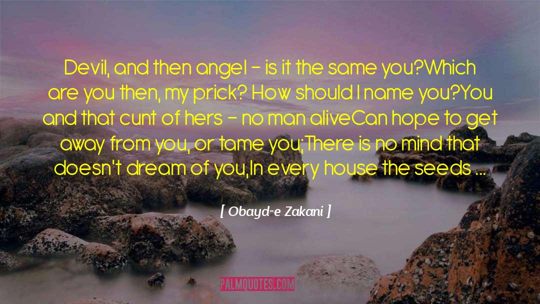 The Devil That You Know quotes by Obayd-e Zakani