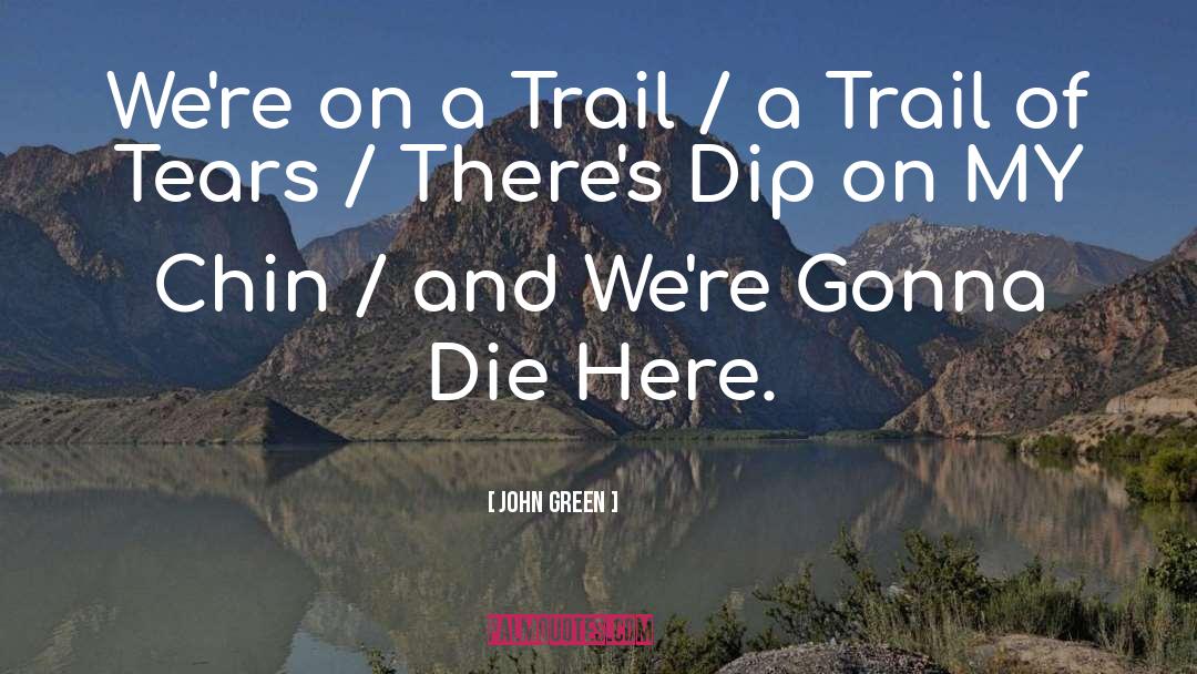 The Dip quotes by John Green