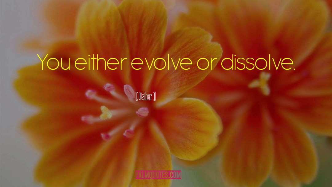 The Dissolve quotes by Usher