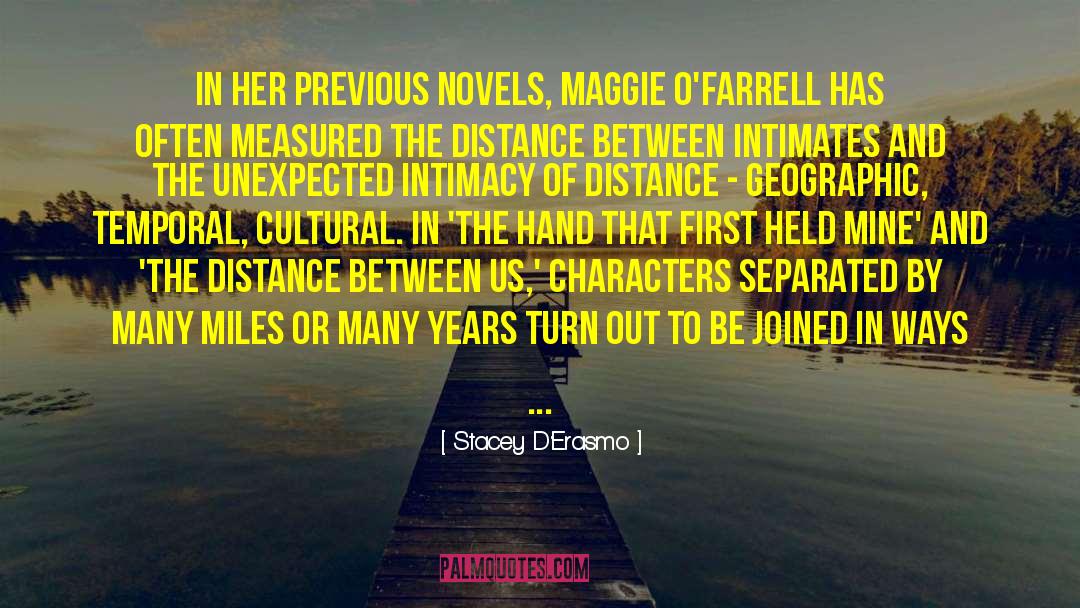 The Distance Between Us quotes by Stacey D'Erasmo