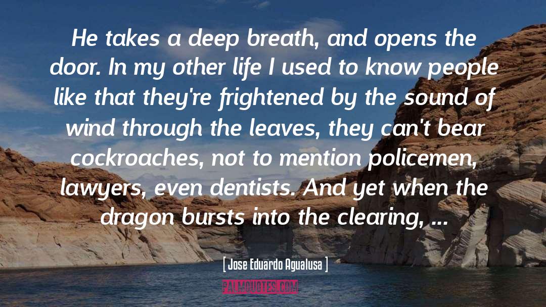 The Dragon quotes by Jose Eduardo Agualusa