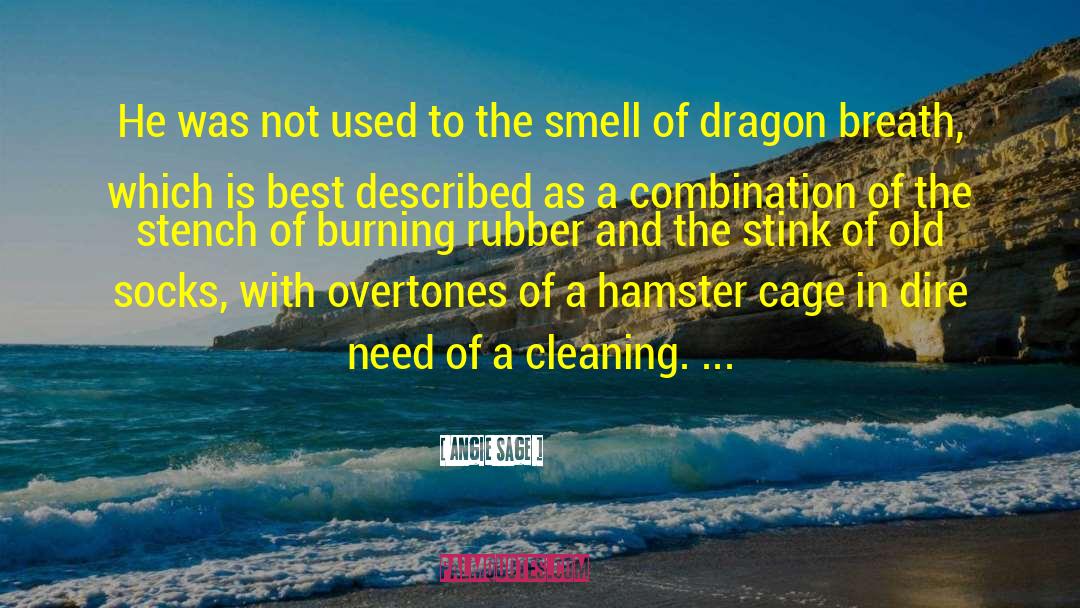 The Dragon Reborn quotes by Angie Sage