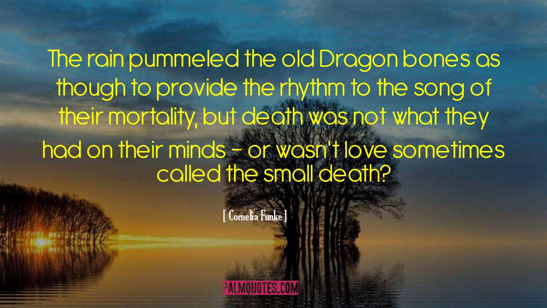 The Dragon Tutor quotes by Cornelia Funke