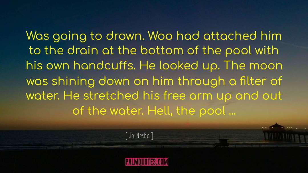 The Drown And The Saved quotes by Jo Nesbo