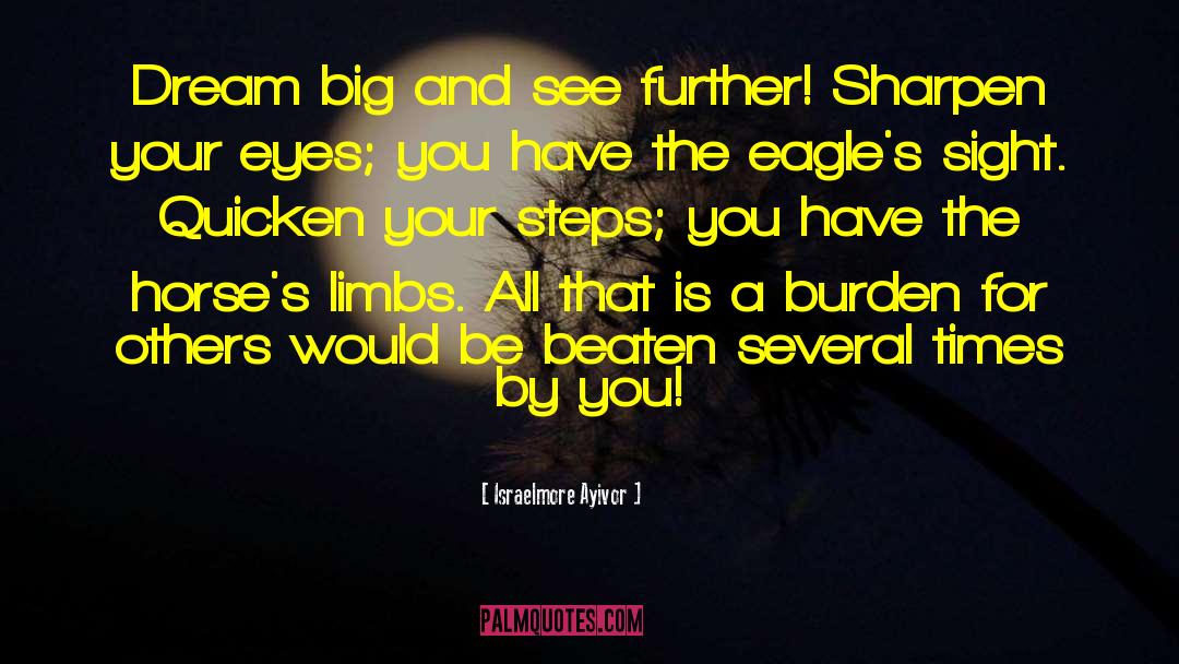 The Eagle S Gift quotes by Israelmore Ayivor