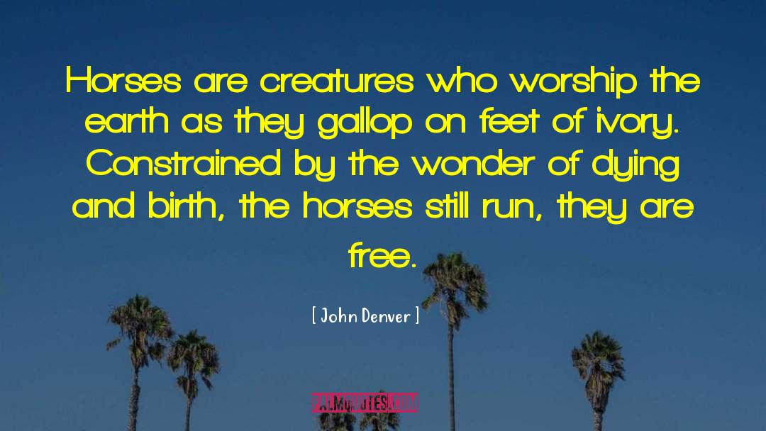 The Earth Painter quotes by John Denver