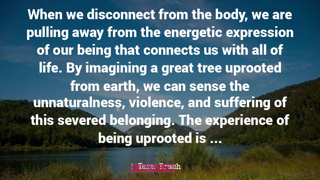 The Earth Speaks quotes by Tara Brach