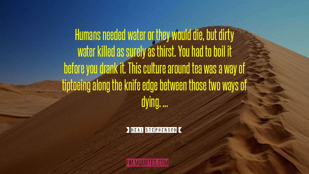 The Edge Of A Knife Journey quotes by Neal Stephenson