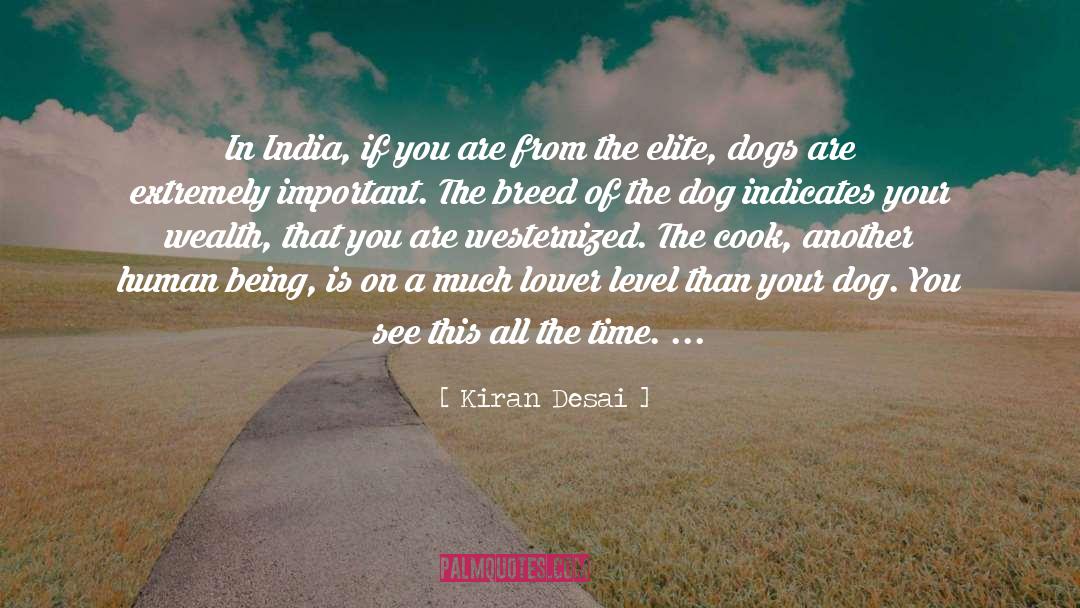 The Elite quotes by Kiran Desai