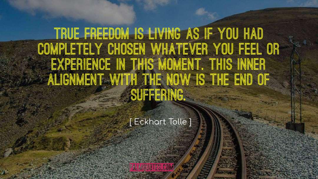 The End Of Suffering quotes by Eckhart Tolle