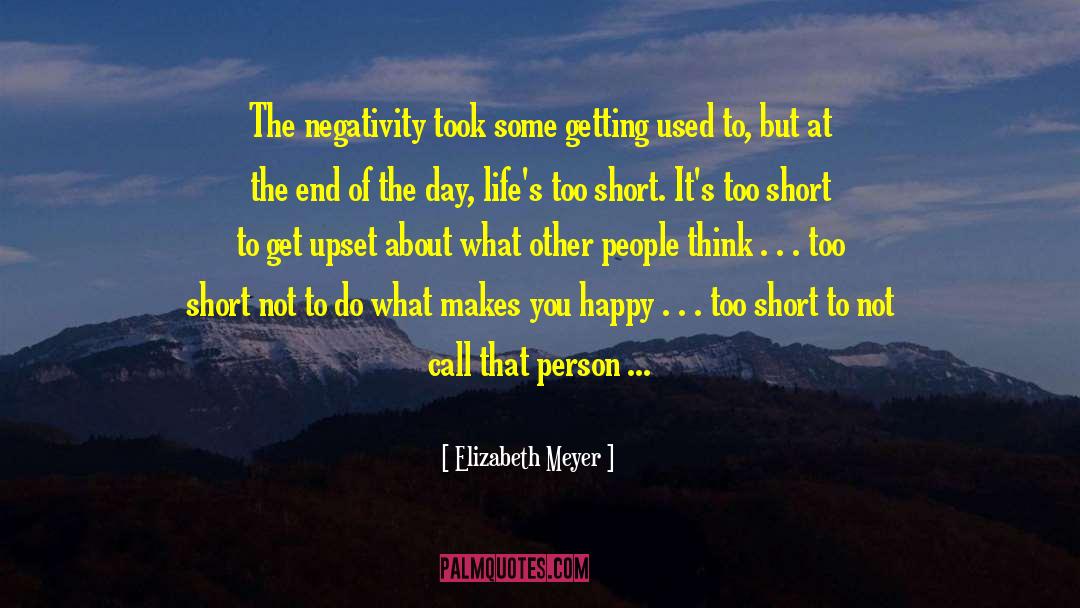 The End Short Story quotes by Elizabeth Meyer
