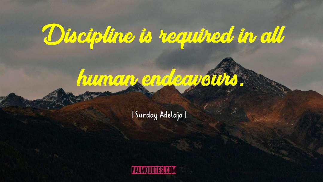 The Endeavour quotes by Sunday Adelaja