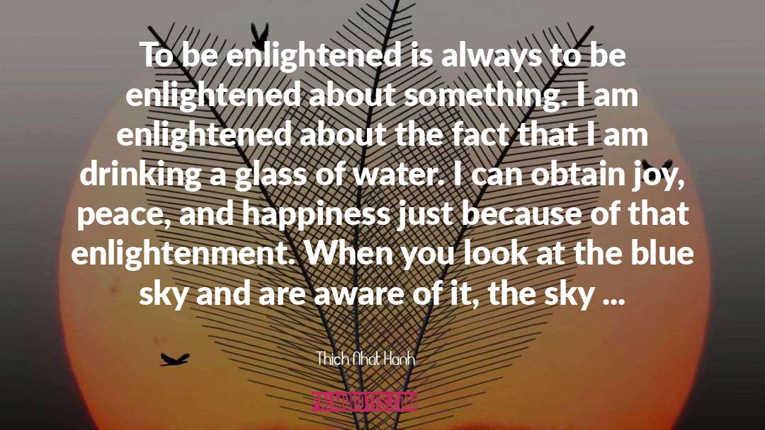 The Enlightened One quotes by Thich Nhat Hanh