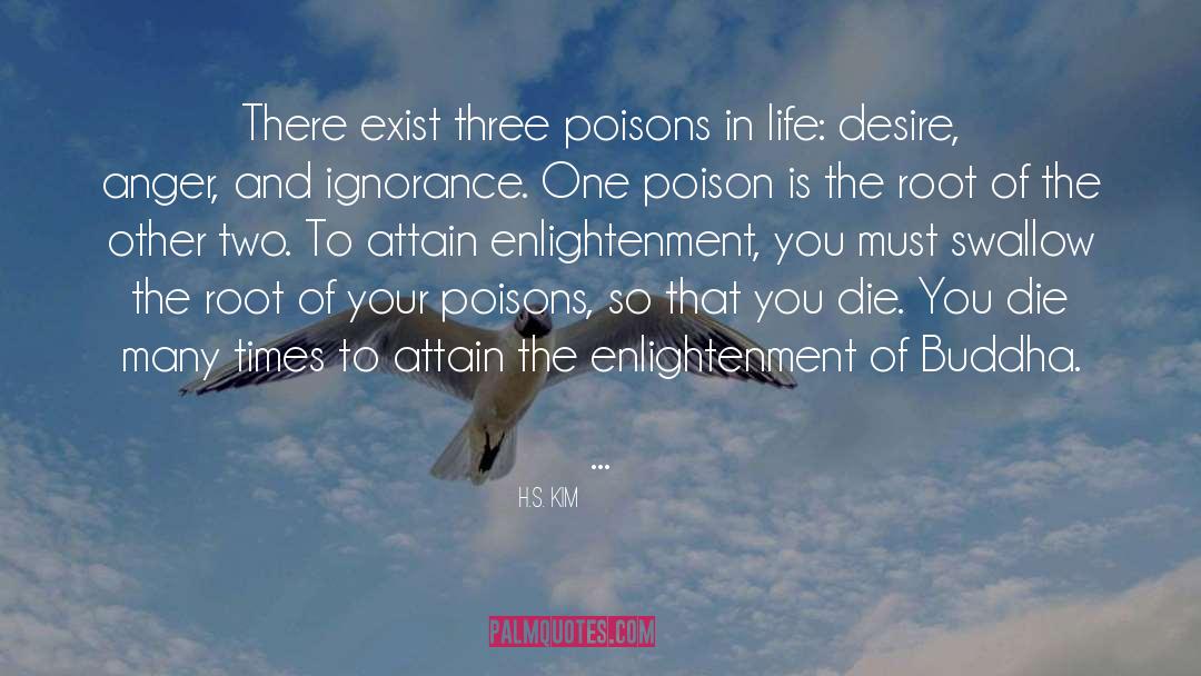 The Enlightenment quotes by H.S. Kim
