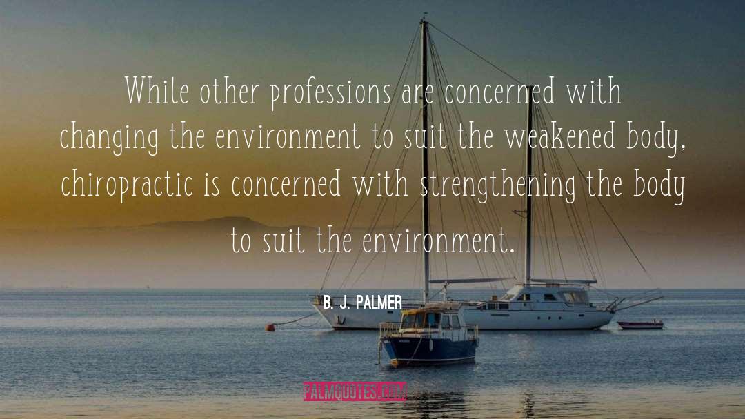 The Environment quotes by B. J. Palmer