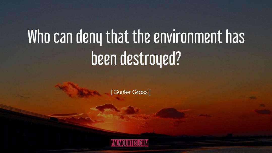 The Environment quotes by Gunter Grass