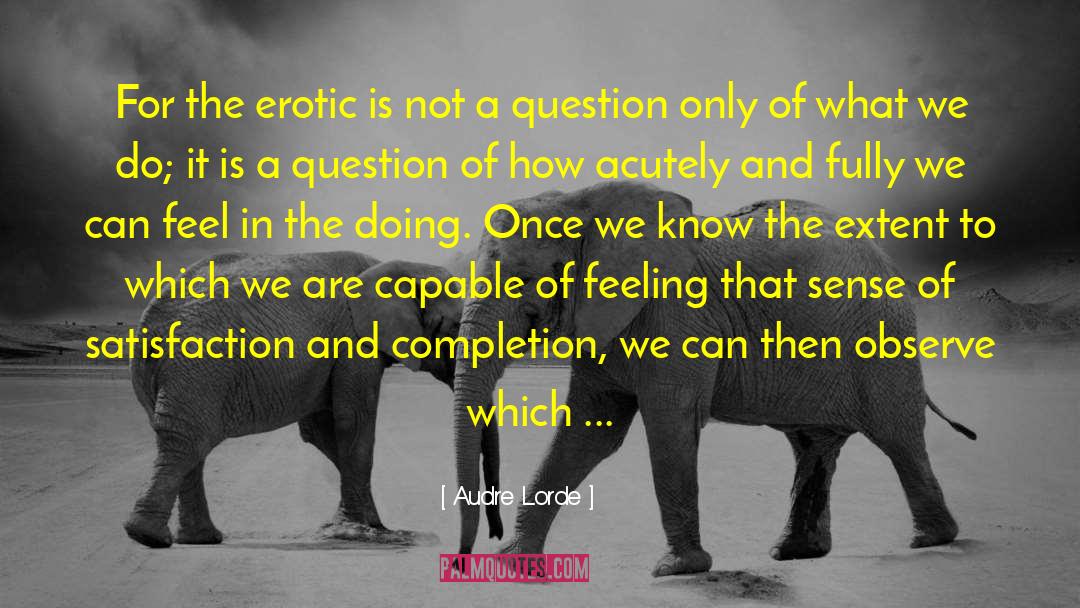 The Erotic quotes by Audre Lorde