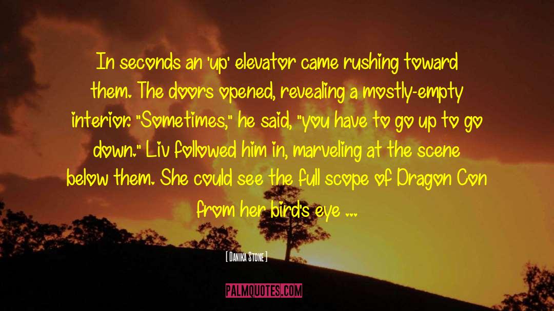 The Ersatz Elevator quotes by Danika Stone