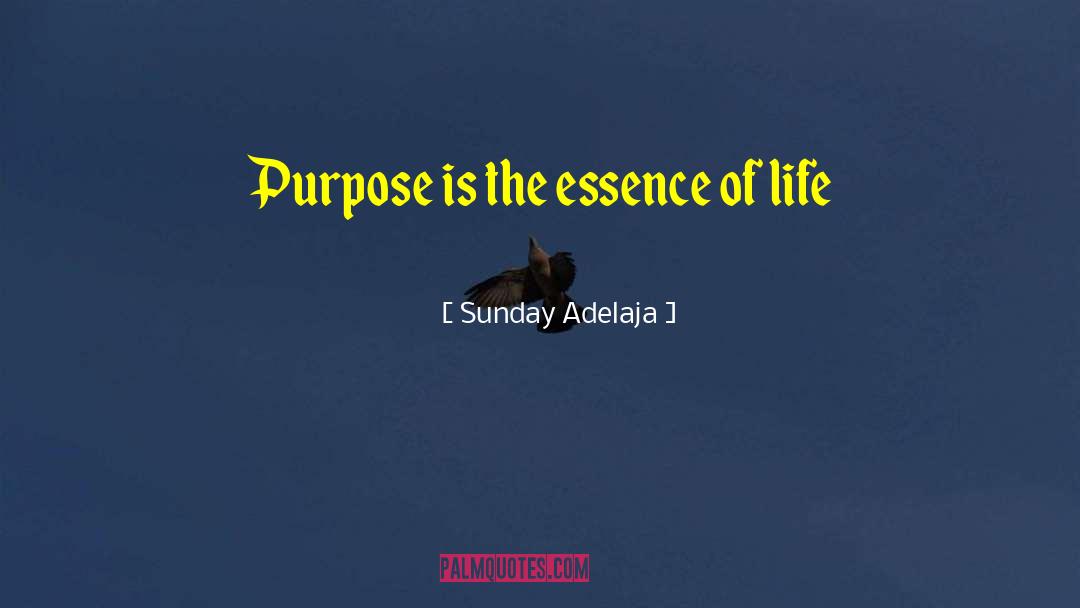 The Essence Of Insanity quotes by Sunday Adelaja