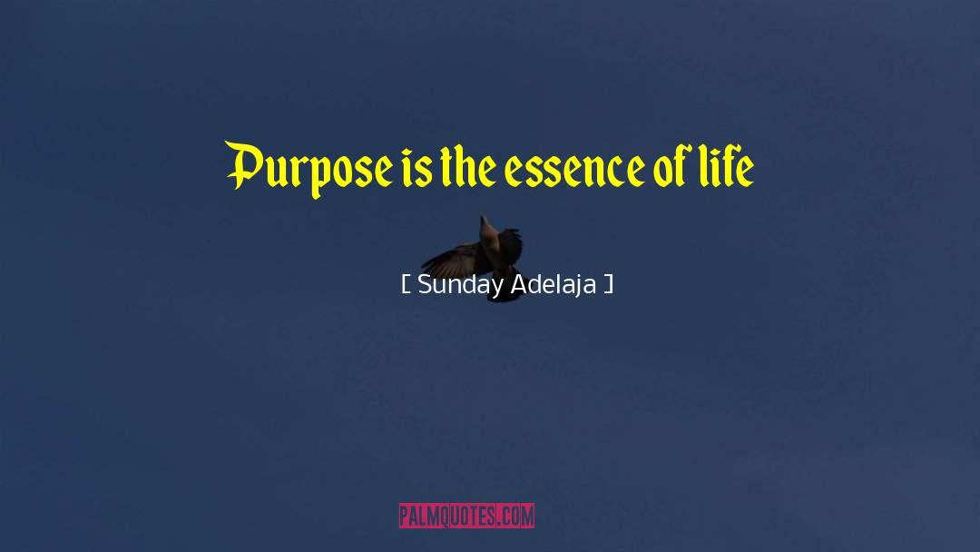 The Essence Of Life quotes by Sunday Adelaja