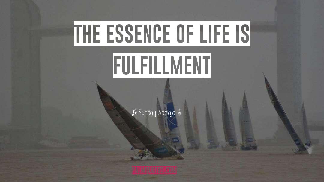 The Essence Of Life quotes by Sunday Adelaja