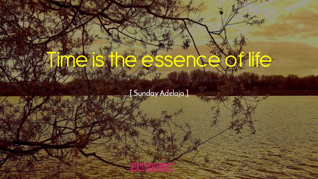 The Essence Of Life quotes by Sunday Adelaja