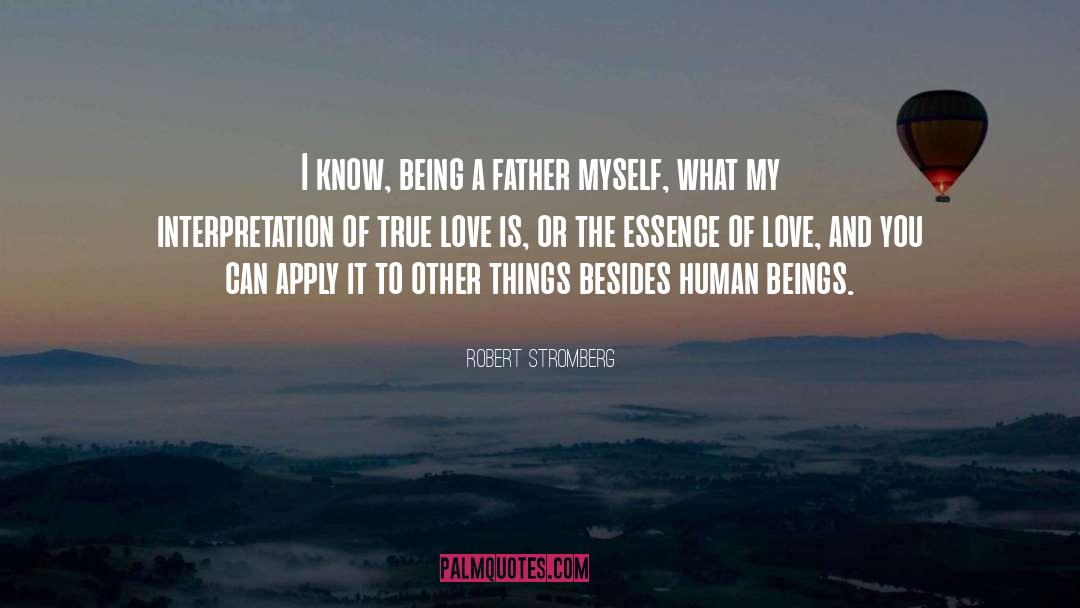 The Essence Of Love quotes by Robert Stromberg