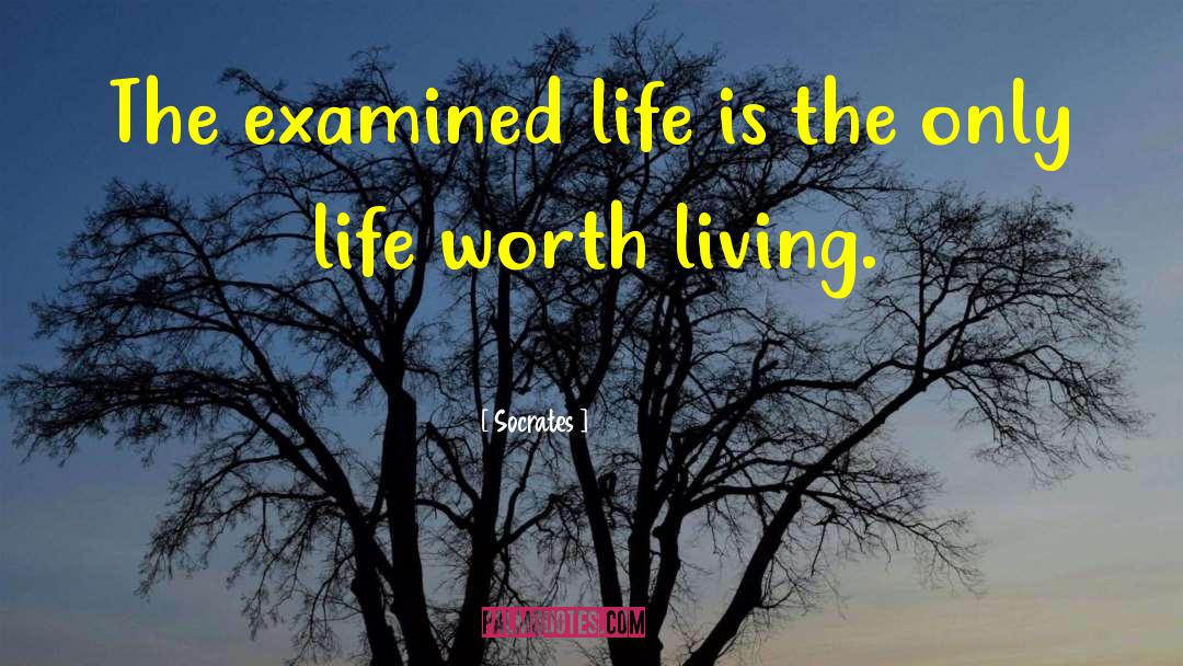 The Examined Life quotes by Socrates