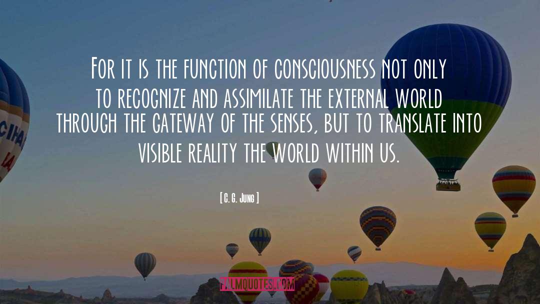 The External World quotes by C. G. Jung