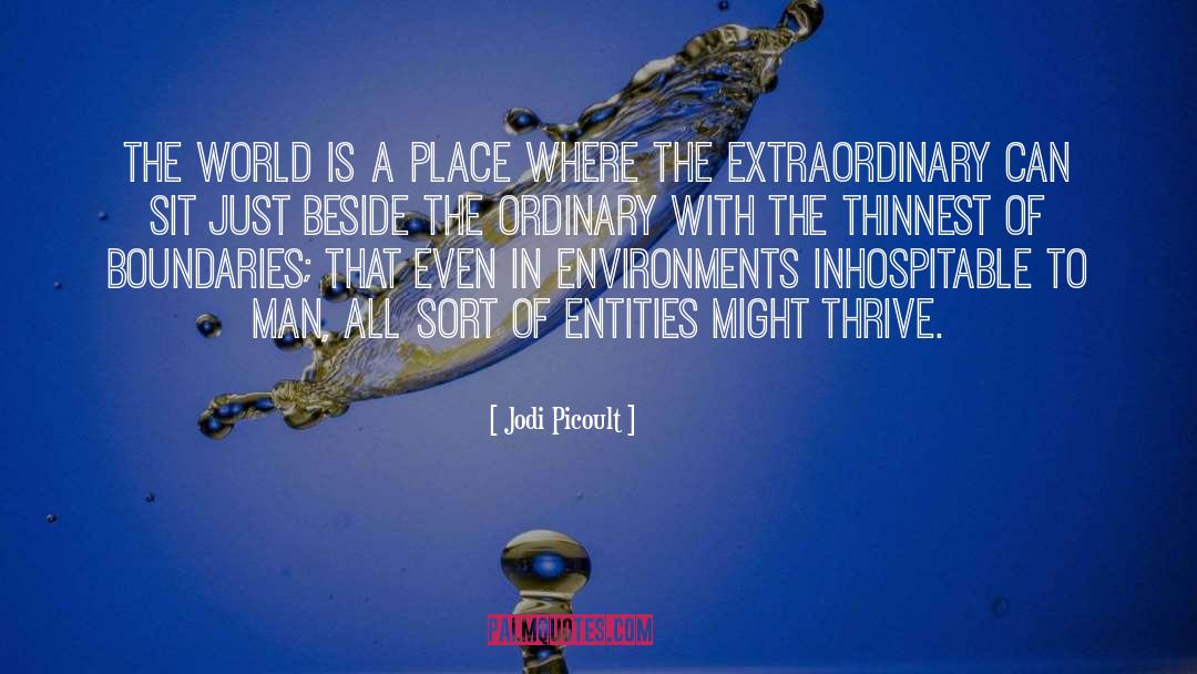 The Extraordinary quotes by Jodi Picoult