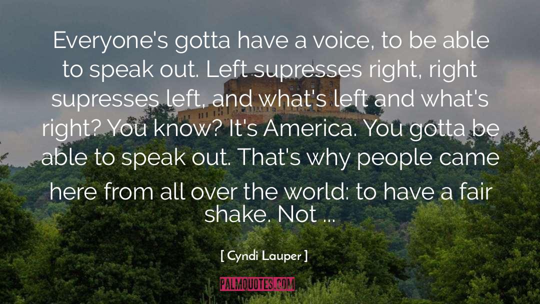 The Fair Fight quotes by Cyndi Lauper