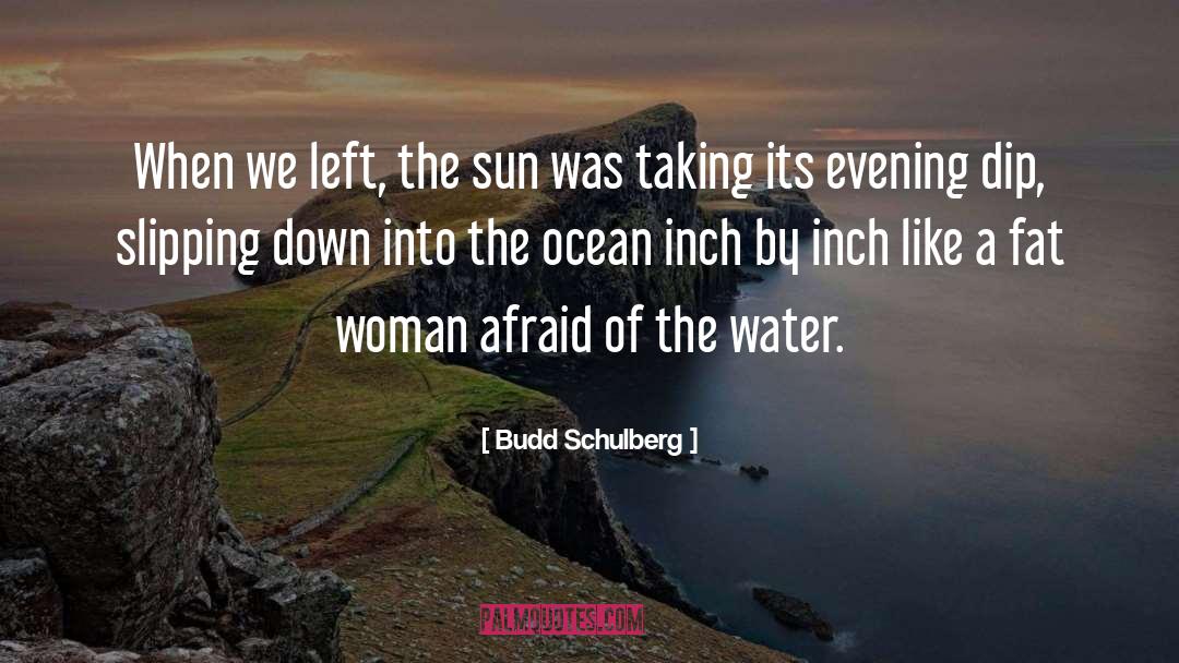 The Fat Girl quotes by Budd Schulberg