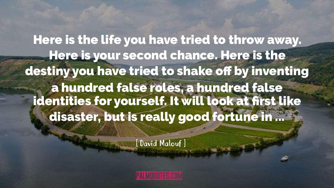 The Fate Of Ten quotes by David Malouf