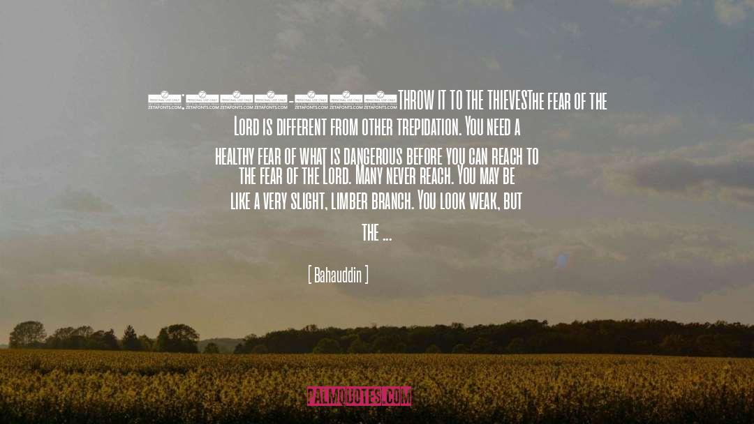 The Fear Of The Lord quotes by Bahauddin