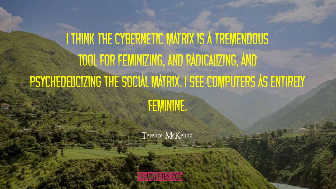 The Feminine Mystique quotes by Terence McKenna