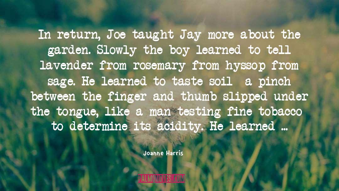The Finger quotes by Joanne Harris