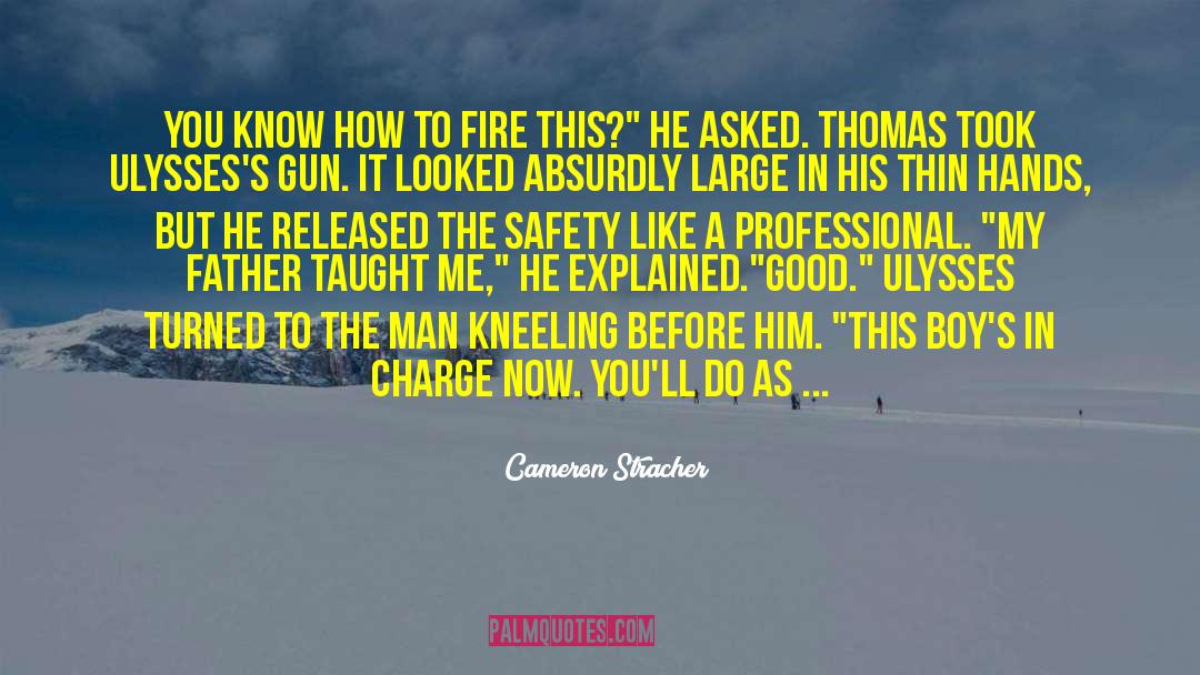 The Fire Balloons quotes by Cameron Stracher