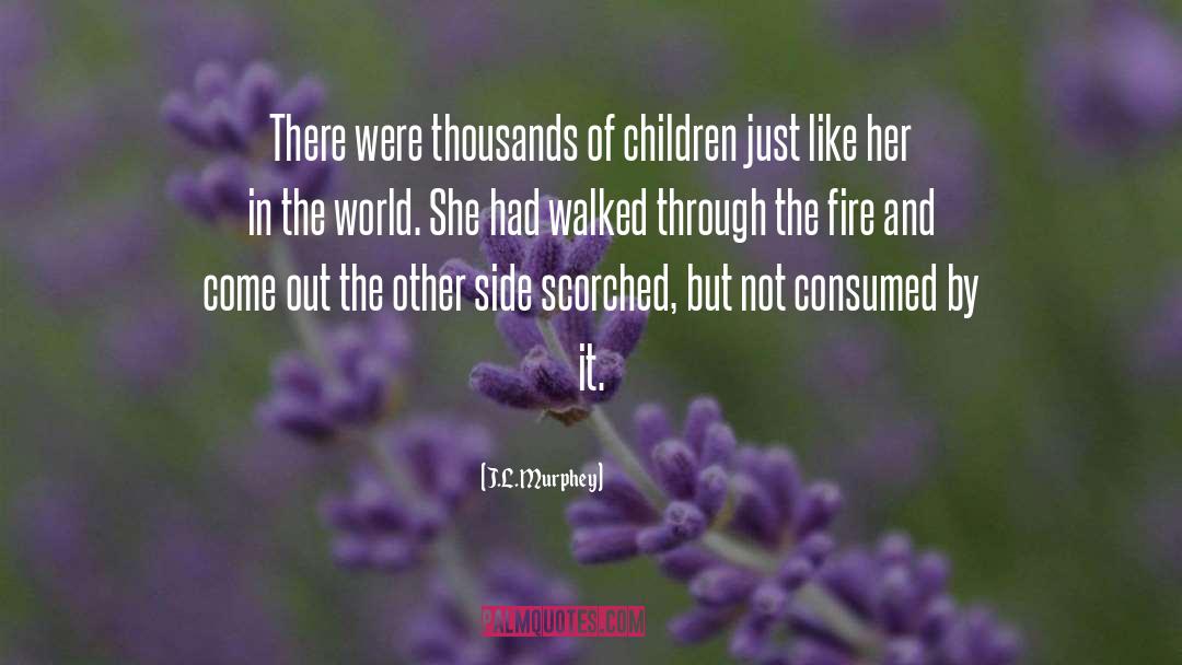 The Fire quotes by J.L. Murphey
