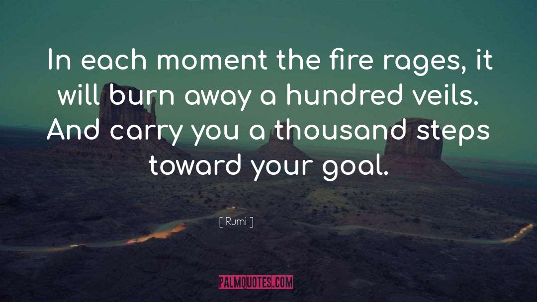 The Fire quotes by Rumi