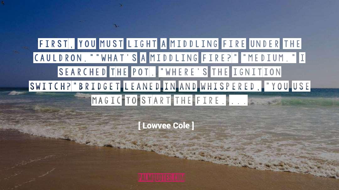 The Fire Within quotes by Lowvee Cole