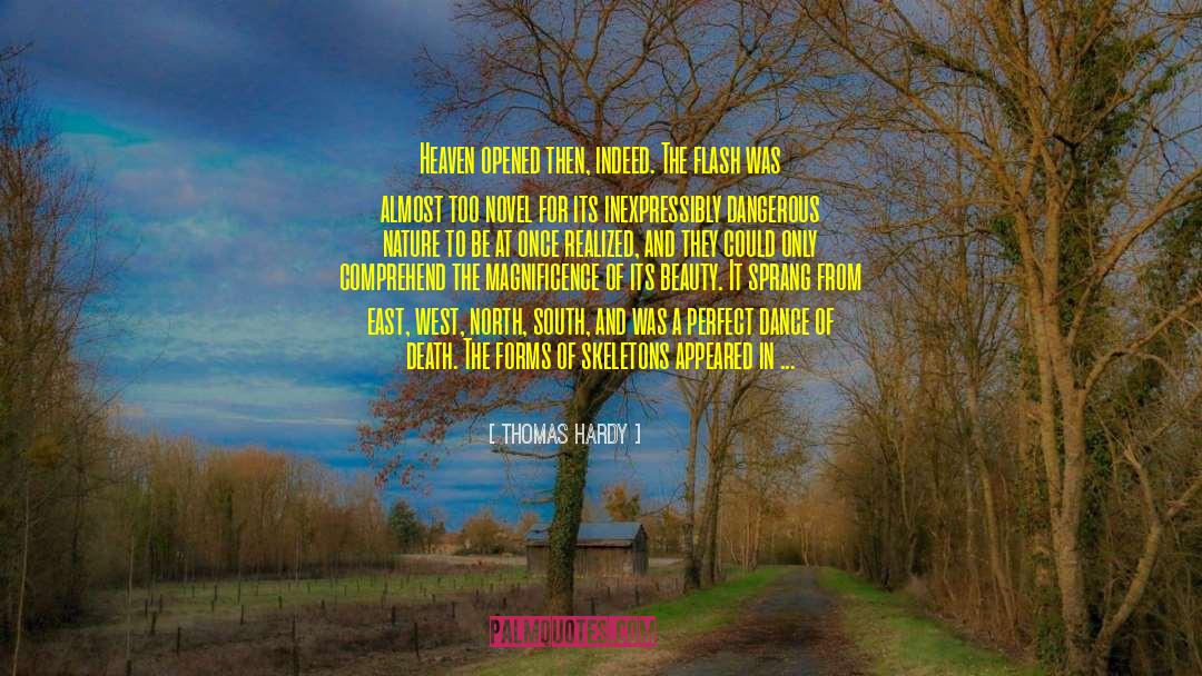The Flash quotes by Thomas Hardy