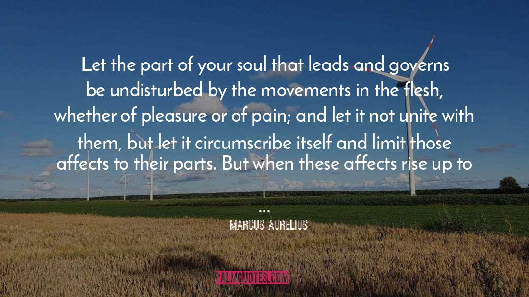 The Flesh quotes by Marcus Aurelius