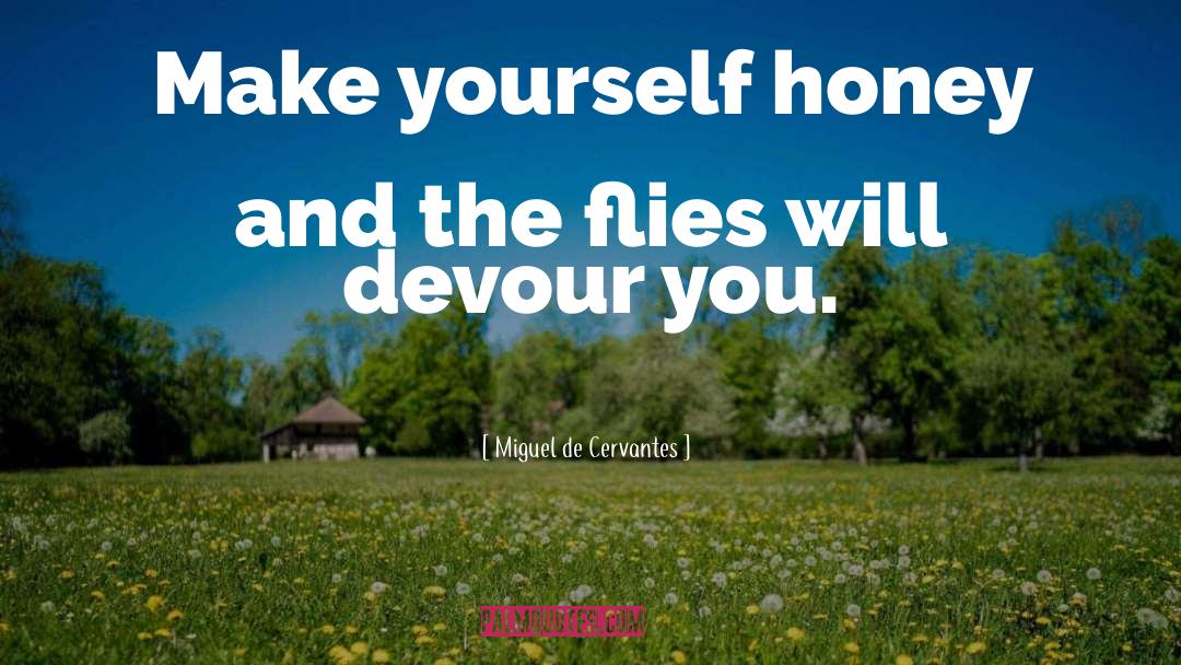 The Flies quotes by Miguel De Cervantes