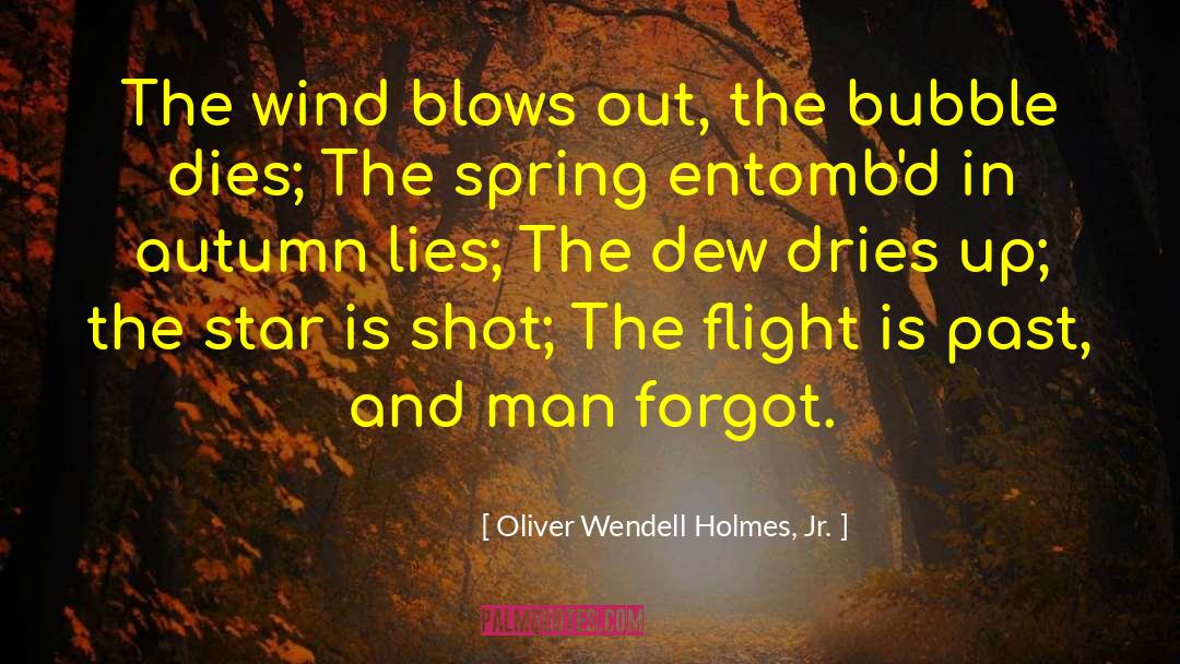 The Flight quotes by Oliver Wendell Holmes, Jr.