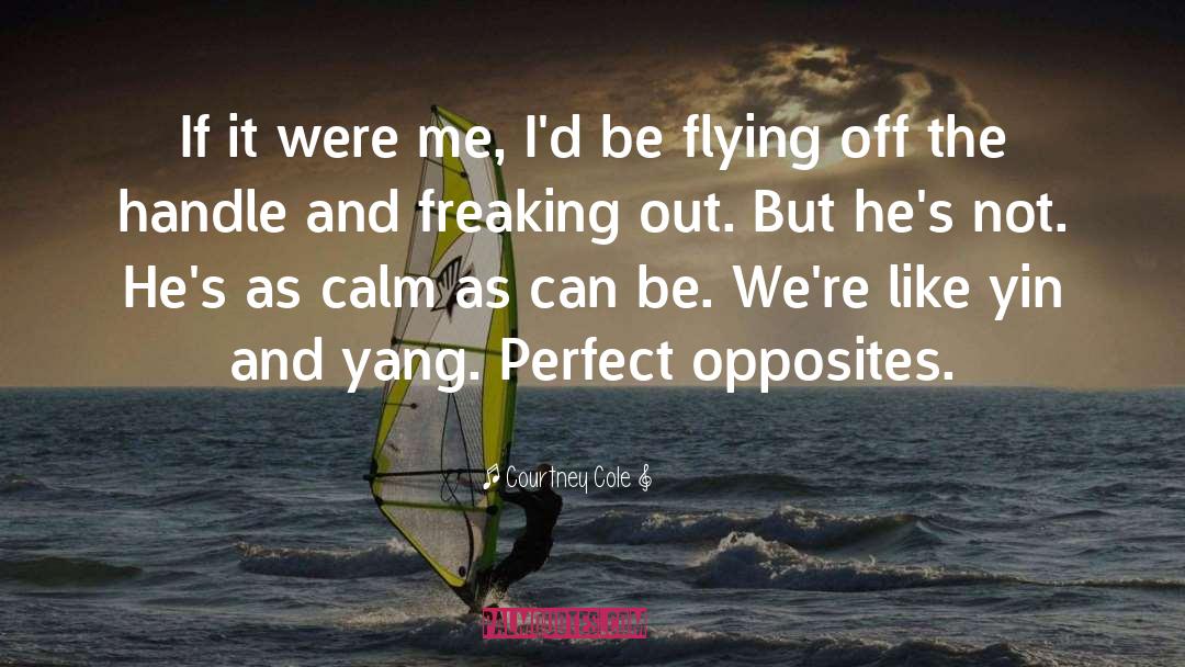 The Flying Trunk quotes by Courtney Cole