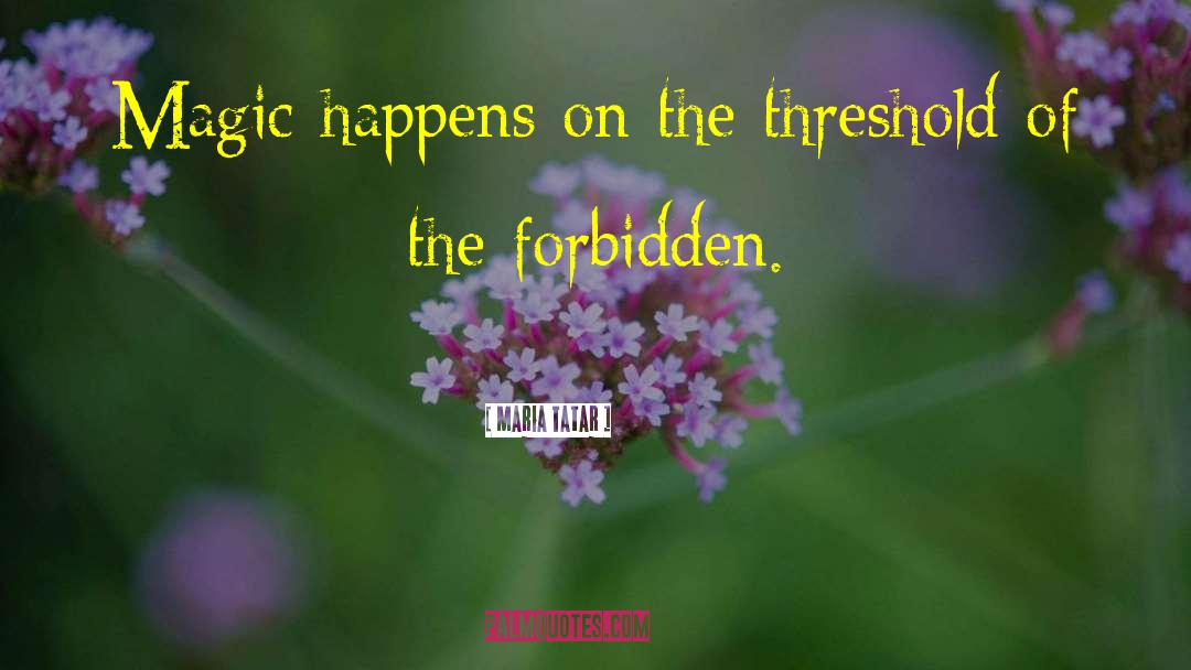 The Forbidden Game quotes by Maria Tatar