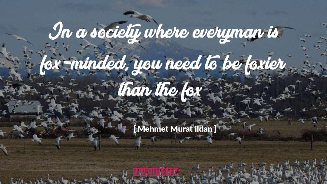 The Fox quotes by Mehmet Murat Ildan
